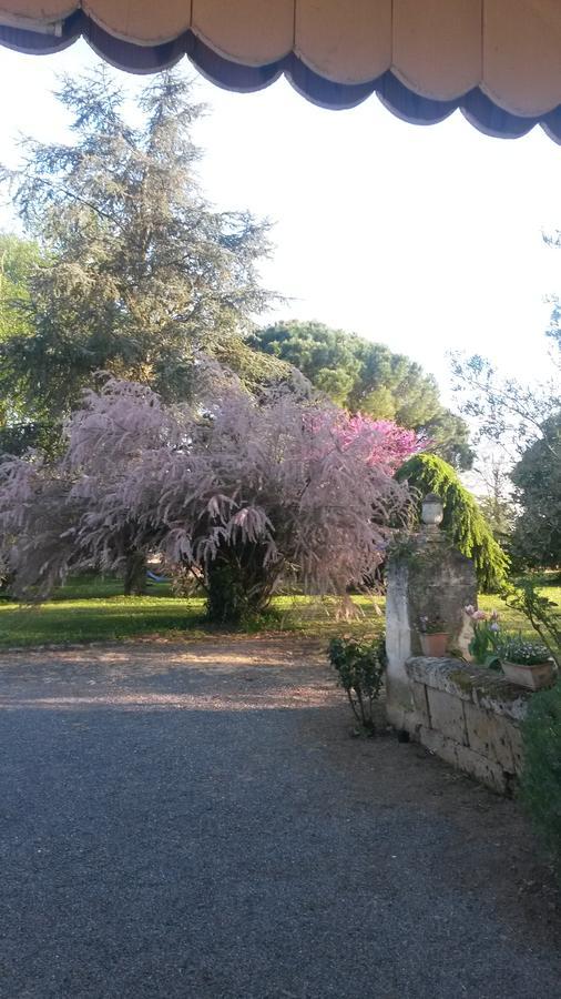 Domaine Mongiron Hotel Nérigean Eksteriør billede
