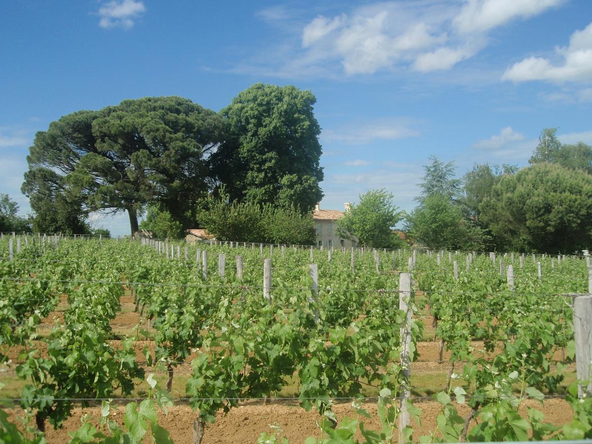 Domaine Mongiron Hotel Nérigean Eksteriør billede