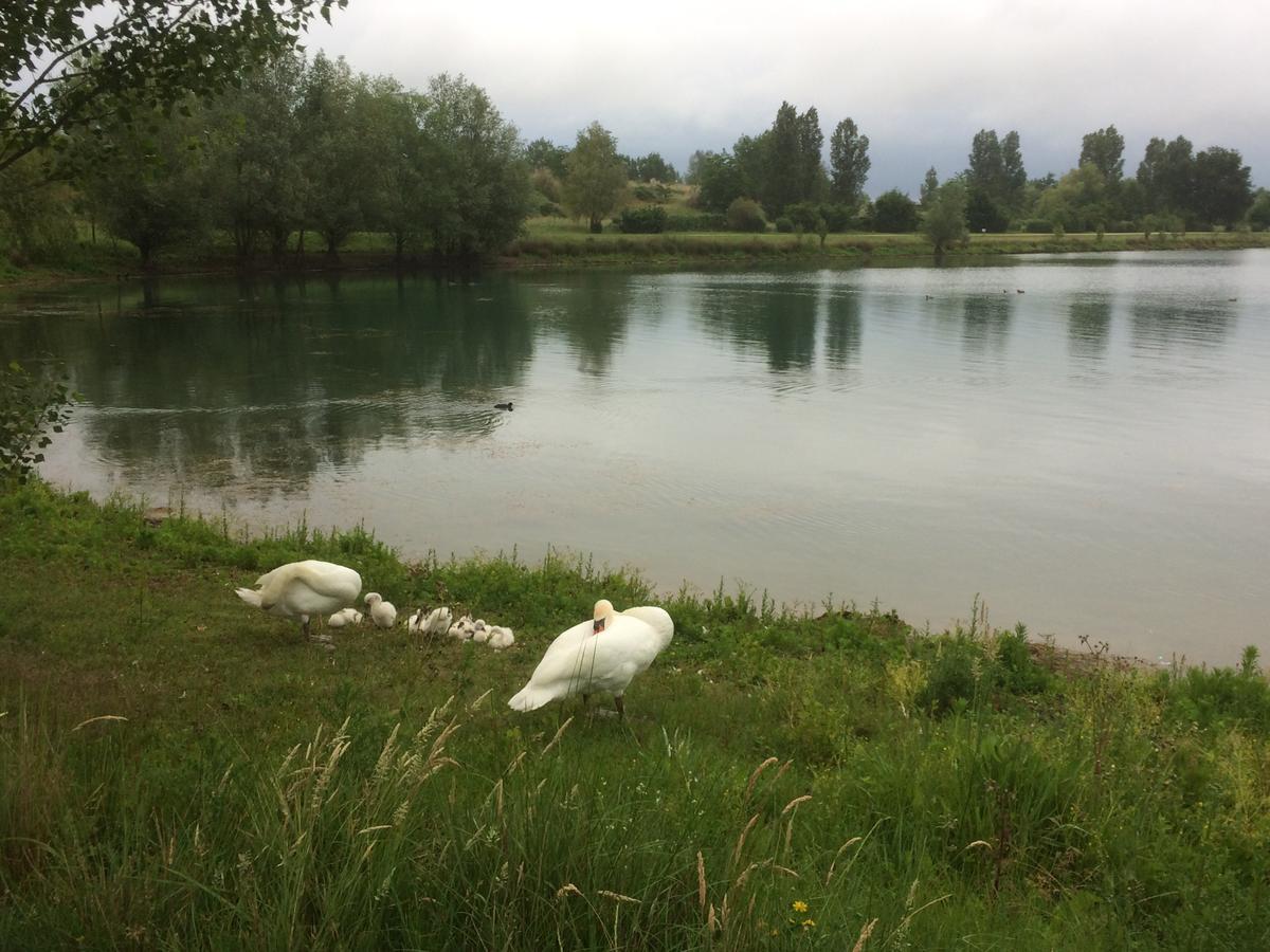 Domaine Mongiron Hotel Nérigean Eksteriør billede